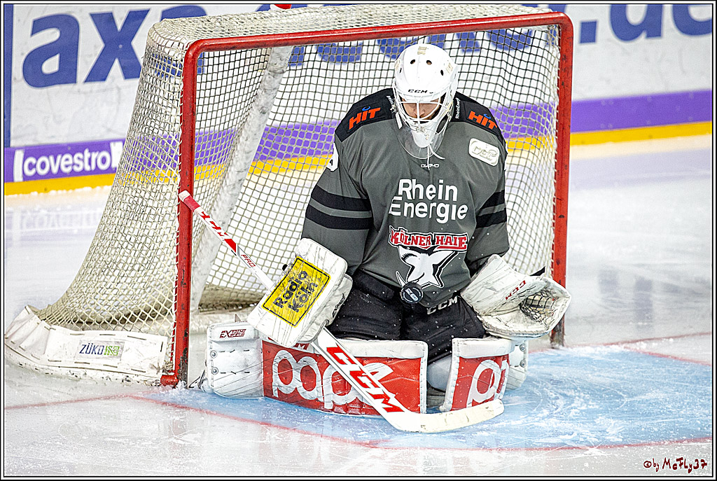 DEL; Koelner Haie - Fischtown Pinguins Bremerhaven, 06.01.2019
